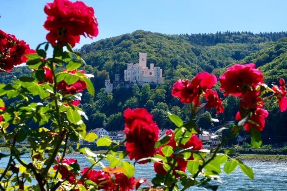 Villa Lahr Lahr  Dış mekan fotoğraf