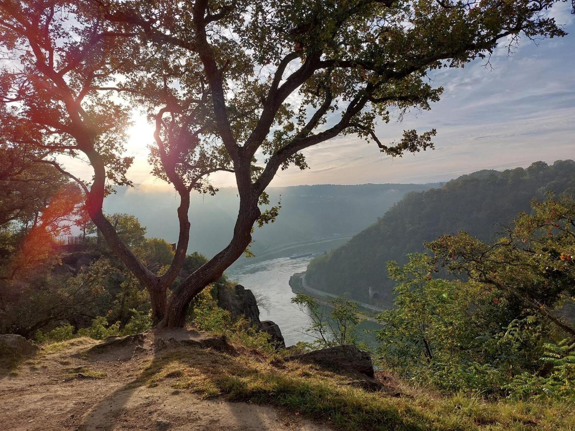 Villa Lahr Lahr  Dış mekan fotoğraf